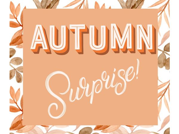 Family Market Autumn Surprise Auction